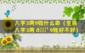 八字3两9钱什么命（生辰八字3两 🌹 9钱好不好）